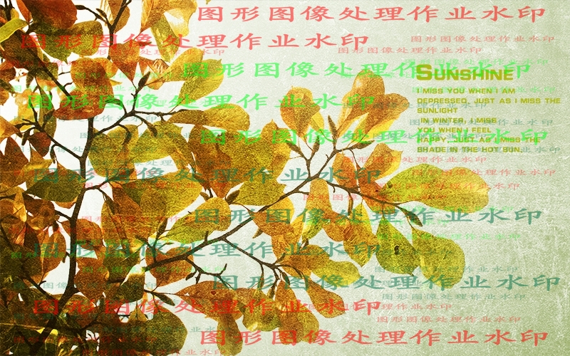 作业效果图