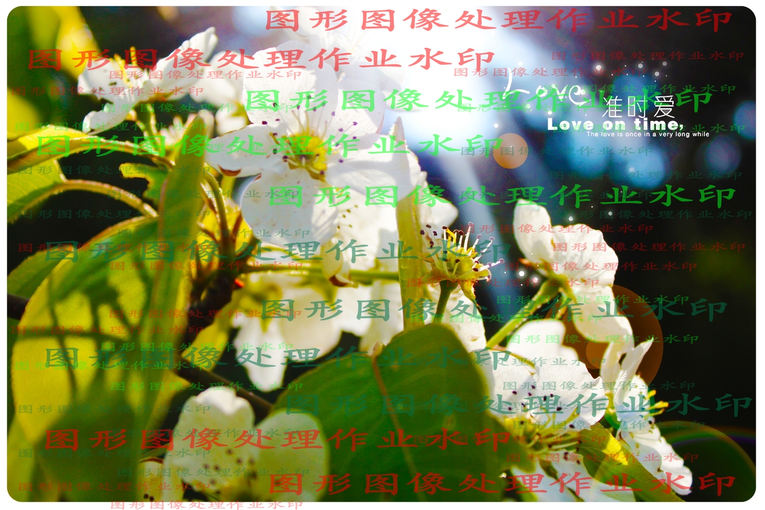 作业效果图